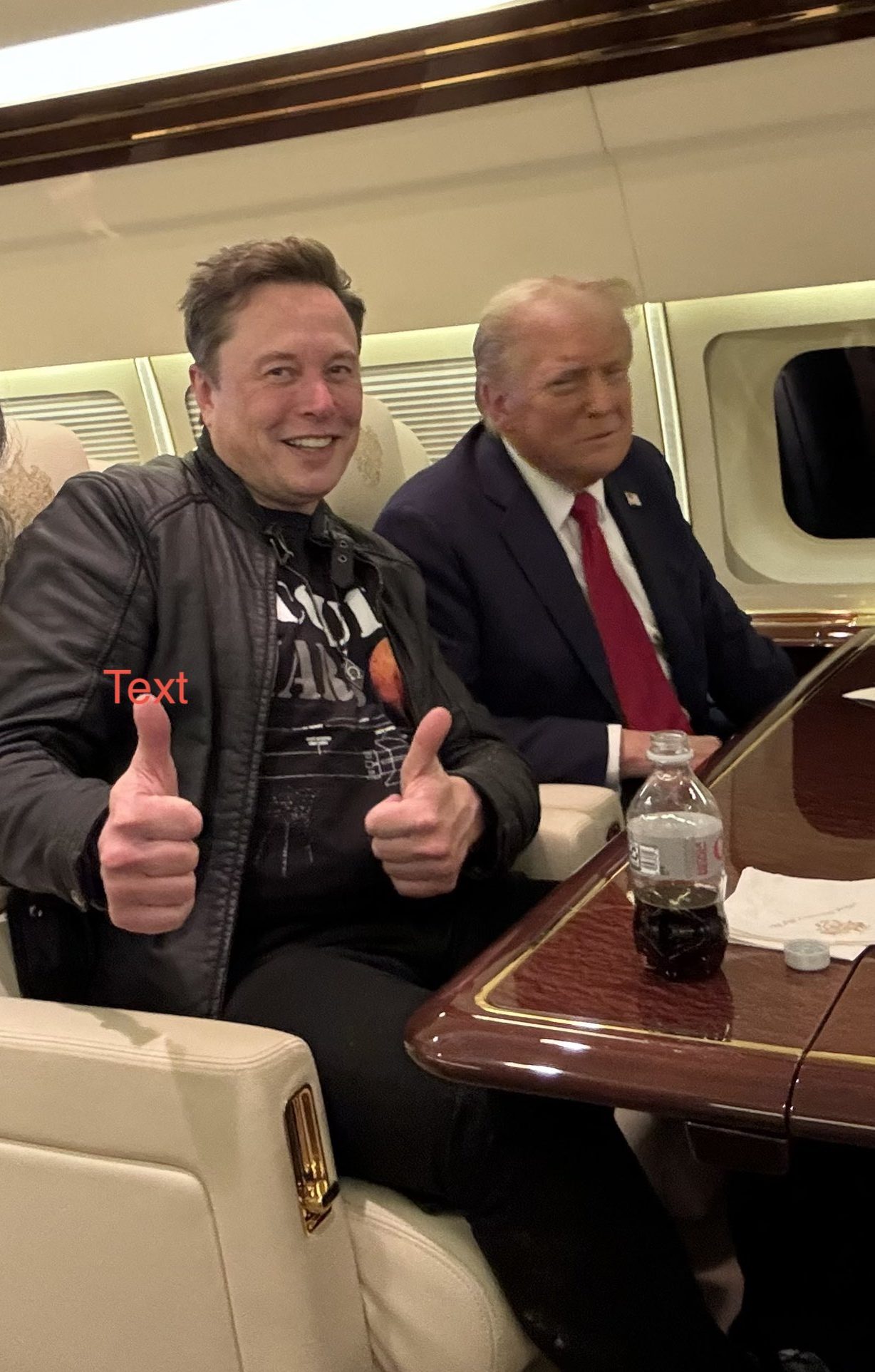 Trump_UFC_2024_03