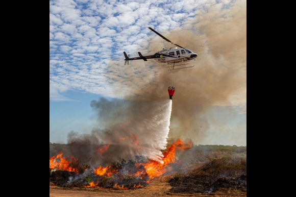 Wildfire