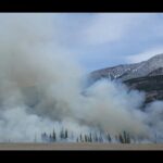 Wildfire