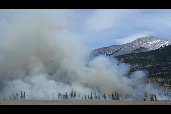 Wildfire