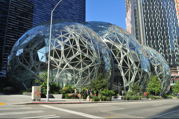 Amazon