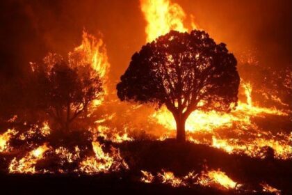 Wildfires