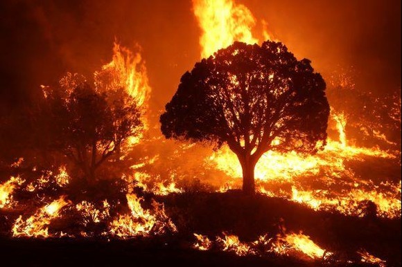 Wildfires