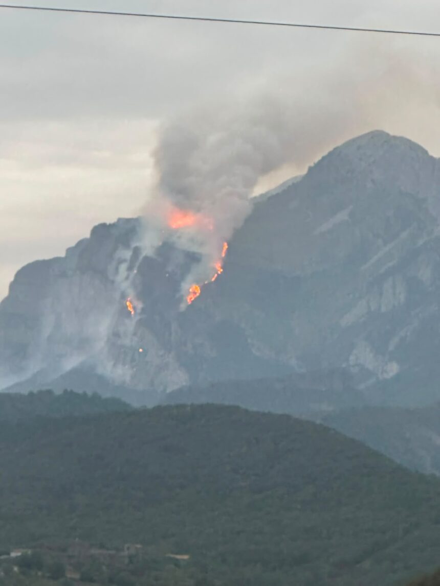 Wildfires